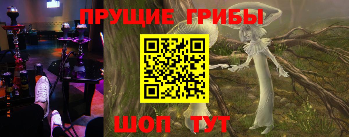 Балтийск  Галлюциногенные грибы ЛСД  цены наркотик  Вход с VPN 